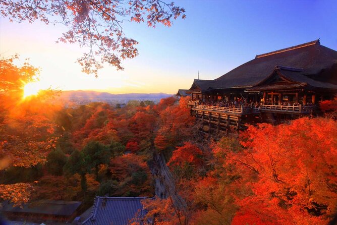 Private Transfer From Kansai International Airport to Osaka - Transportation Options