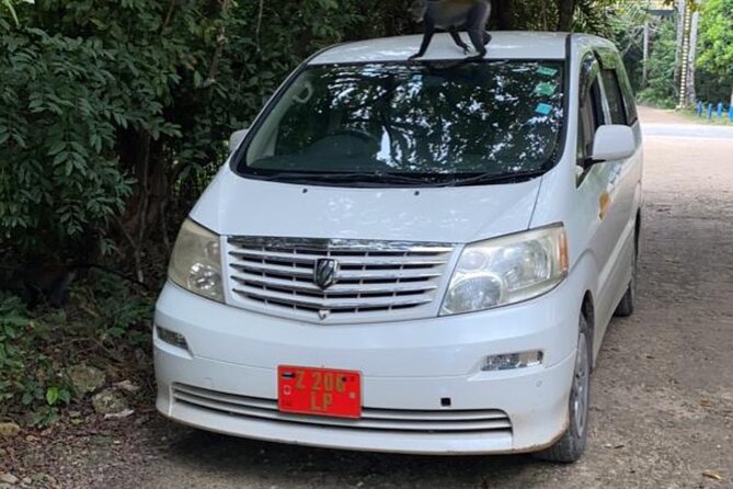 Private Transfer From Karume International Airport to Paje - Key Points