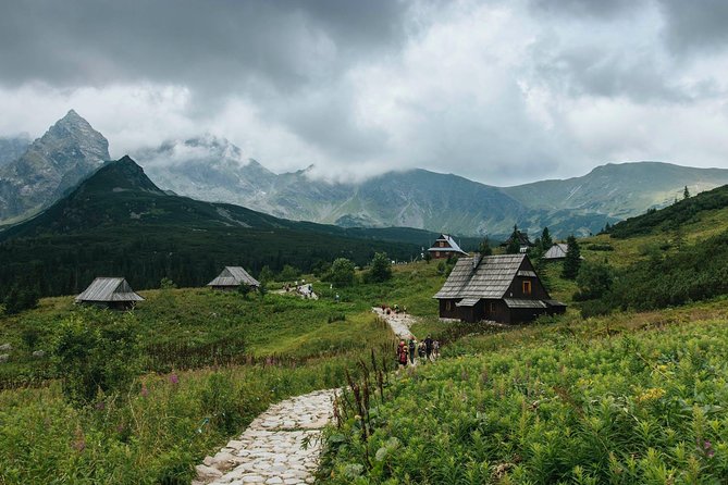 Private Transfer From Krakow Airport to Zakopane - Vehicle and Driver
