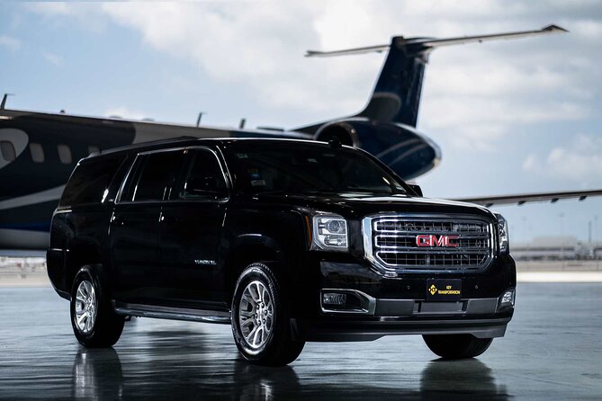Private Transfer From LAX With Professional Chauffeur - Accessibility Details