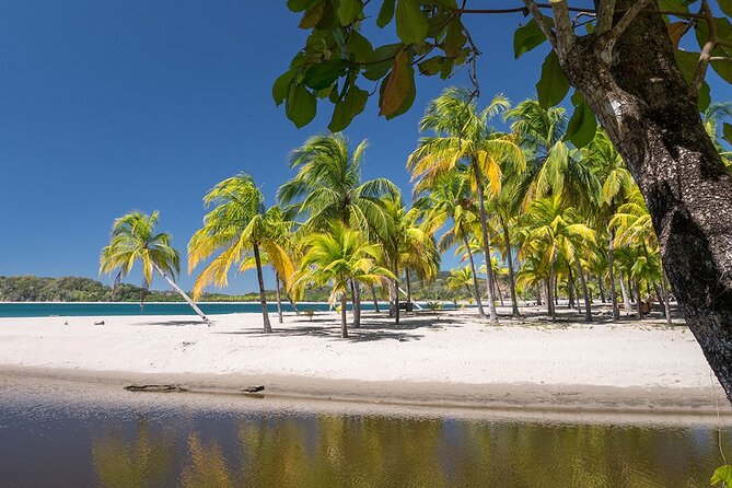 Private Transfer From Liberia Airport To Westin Resort - Vehicle and Comfort Features