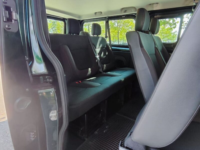 Private Transfer From Lucerne to Basel, Basel Port, Airport - Travel Experience and Comfort