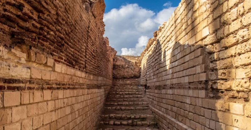 Private Transfer From Luxor to Alexandria - Experience Highlights