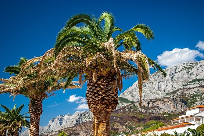Private Transfer From Makarska to Dubrovnik With 2h Sightseeing, Local Driver - Accessibility and Participation
