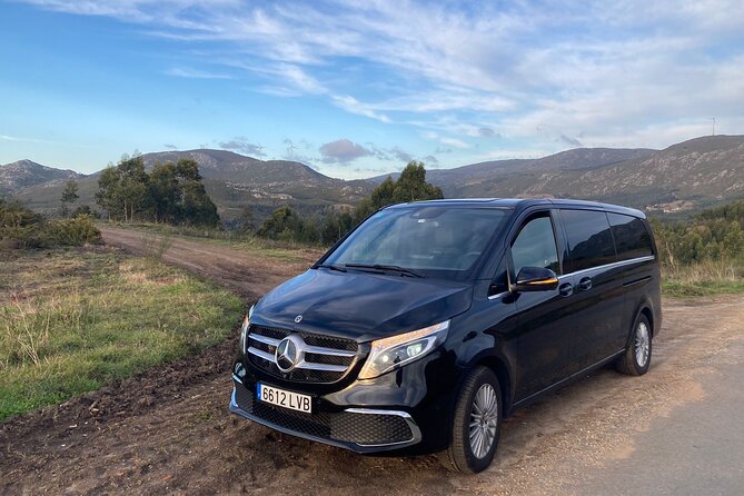 Private Transfer From Malaga Airport (Agp) to Granada City - Scheduled Availability