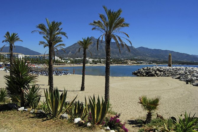Private Transfer From Malaga Airport (Agp) to Vejer De La Frontera - Infant and Disability Accommodations