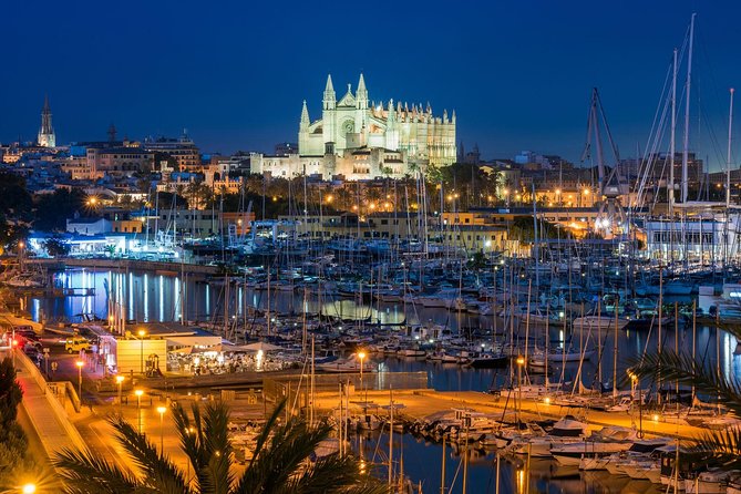 Private Transfer From Mallorca Airport (Pmi) to Alcudia - Inclusions