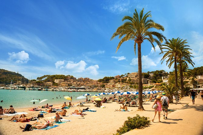 Private Transfer From Mallorca Airport (Pmi) to Alcudia - Pricing and Booking