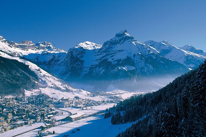 Private Transfer From Malpensa Airport to Switzerland Ski Resorts - Service Inclusions and Limitations