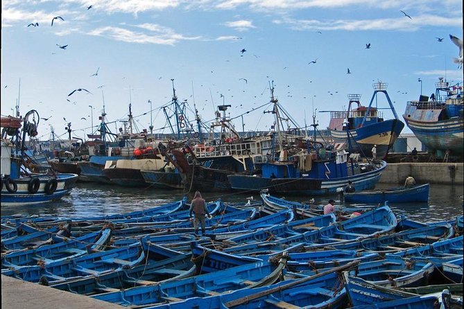 Private Transfer From Marrakech to Essaouira - Operating Hours