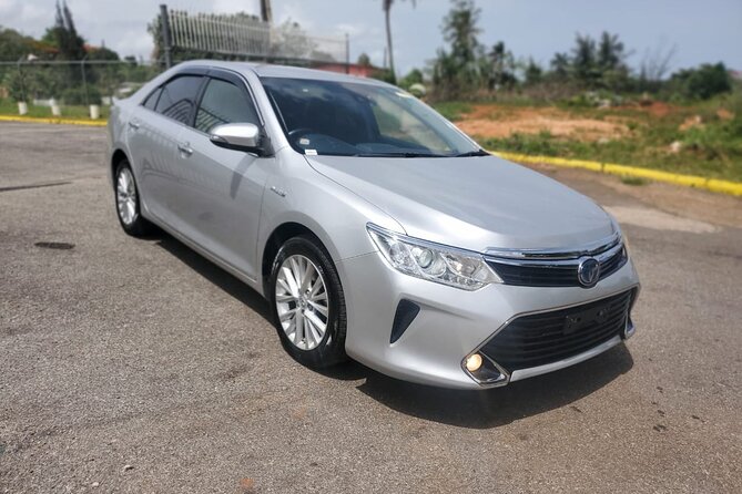 Private Transfer From MBJ Airport to Grand Palladium - Booking Details and Policies