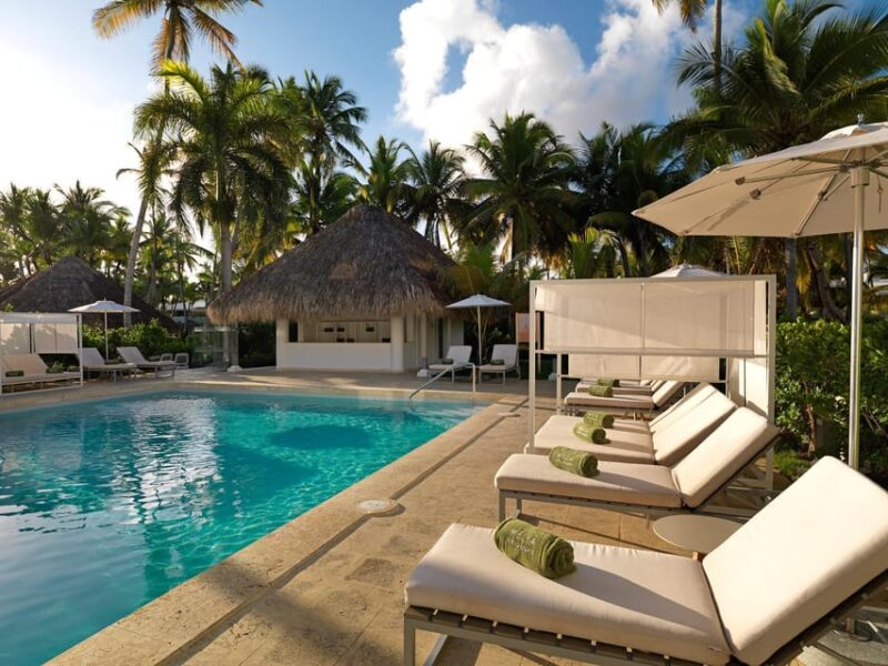 Private Transfer From Melia Punta Cana Beach to SDQ - Transportation Experience