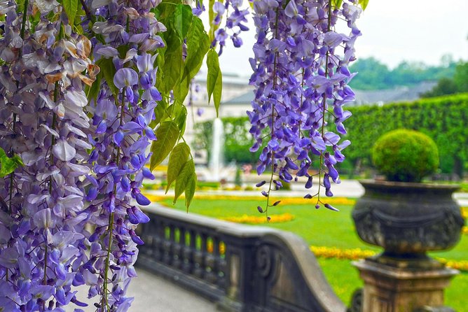 Private Transfer From Munich to Salzburg, English-Speaking Driver - Recap