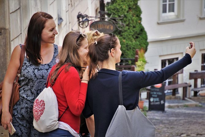 Private Transfer From Munich to Vienna With 2-Hour Sightseeing Stop in Hallstatt - Operating Hours and Contact Information