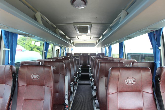 Private Transfer From Nadi Airport to Denarau Hotels/Double-Tree Fiji - Accessibility and Accommodations