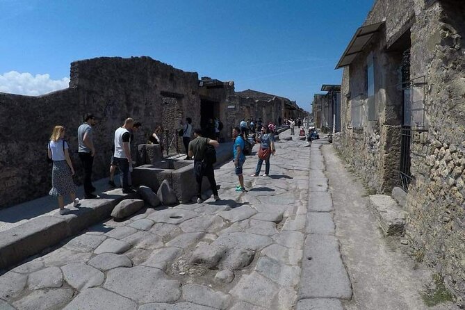Private Transfer From Naples to Sorrento With Visit to Pompeii - Cancellation Policy