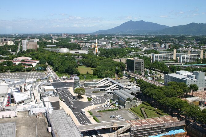 Private Transfer From Narita Airport to Ibaraki City Japan - Contact and Inquiries
