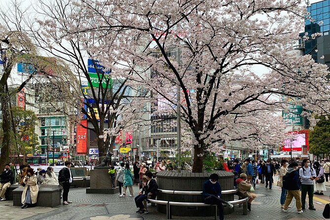 Private Transfer From Narita Airport to Prince Hachi City Japan - Arriving at Your Destination