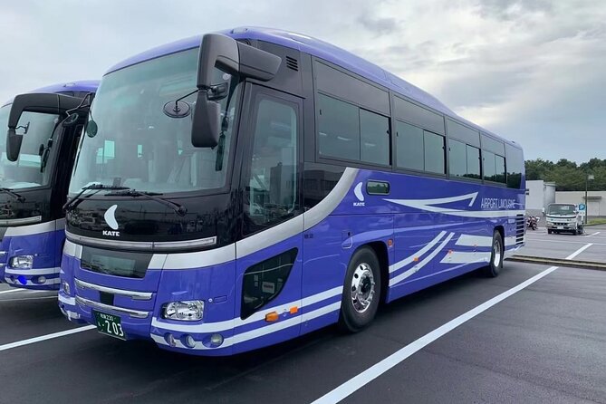Private Transfer From Narita Airport to Prince Hachi City Japan - Additional Considerations