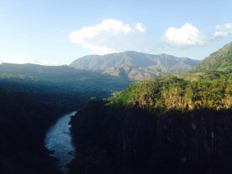 Private Transfer From Neiva to the Coffee Region - Included Services
