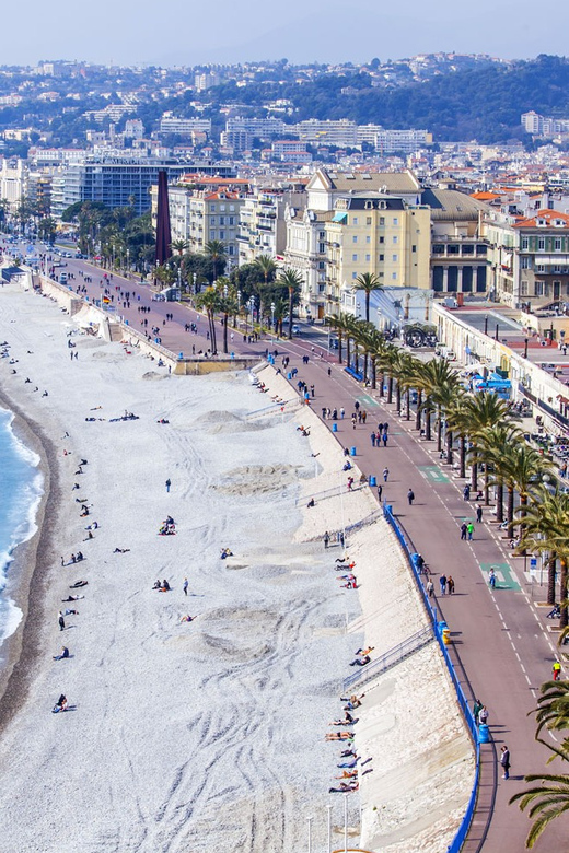 Private Transfer From Nice-Côte D'azur Airport - Cannes - Driver Details