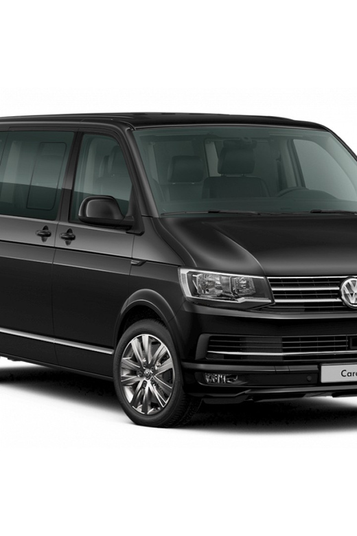 Private Transfer From Nice to Monaco - Driver Capabilities