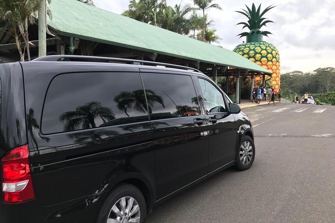 Private Transfer From Noosa to Sunshine Coast Airport 7 Seater - Stress-Free Travel