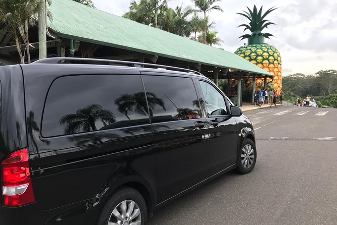 Private Transfer From Noosa to Sunshine Coast Airport up to 3 Pax - Ratings and Reviews