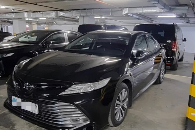 Private Transfer From Nursultan Nazarbayev (Nqz) Airport to Astana - Self-Guided Audio Tours