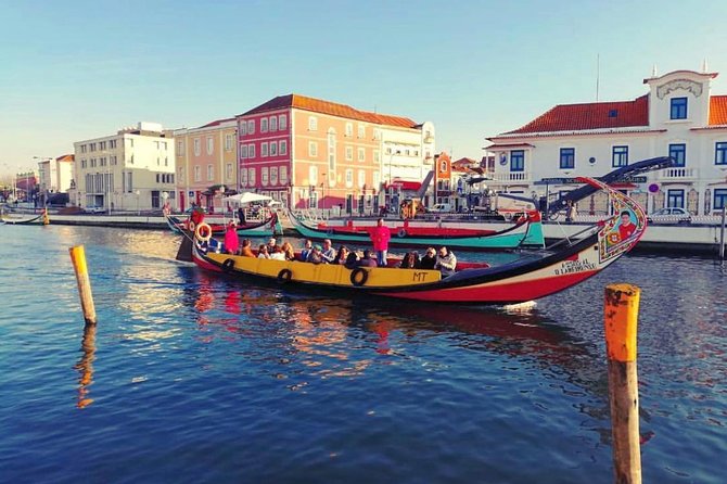 Private Transfer From Oporto to Lisbon or Lisbon to Oporto - Customer Experiences and Feedback