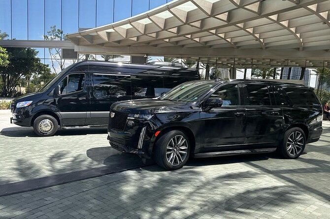 Private Transfer From or To Miami Intl Airport and Port of Miami - Accessibility Features