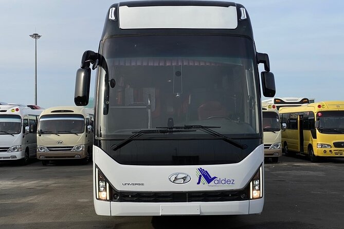 Private Transfer From or to Punta Cana Airport to Hotels in Bávaro - About the Experience