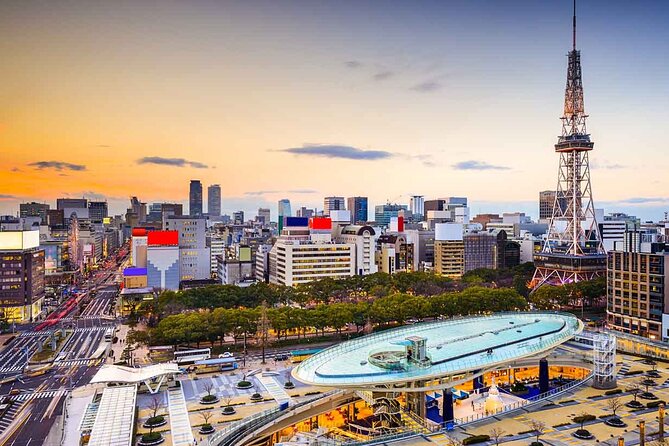 Private Transfer From Osaka Kansai Airport to Nagoya City - Accessibility and Participation