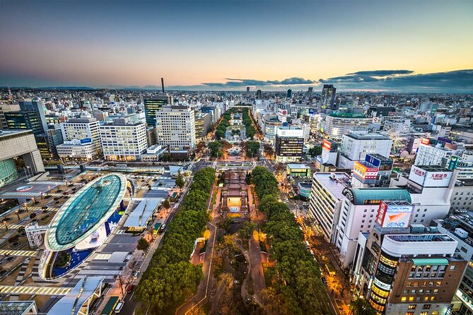 Private Transfer From Osaka Kansai Airport to Nagoya City - Additional Information