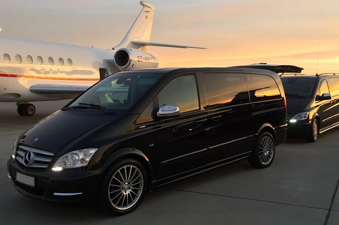 Private Transfer From Palermo Hotels to Palermo Cruise Port - Accessibility and Participation