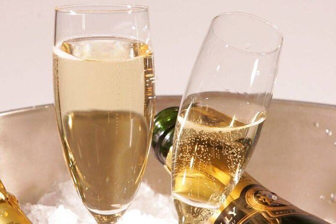 Private Transfer From Paris or CDG Airport to Reims or Epernay - Customization and Flexibility