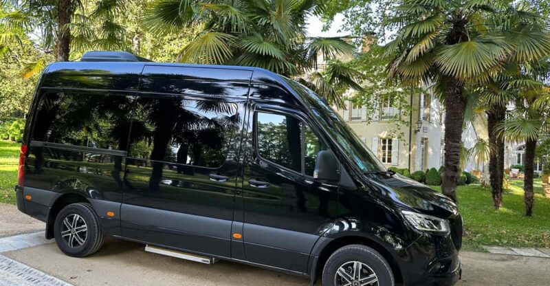 Private Transfer From Pau Pyrenees Airport to Lourdes - Key Points