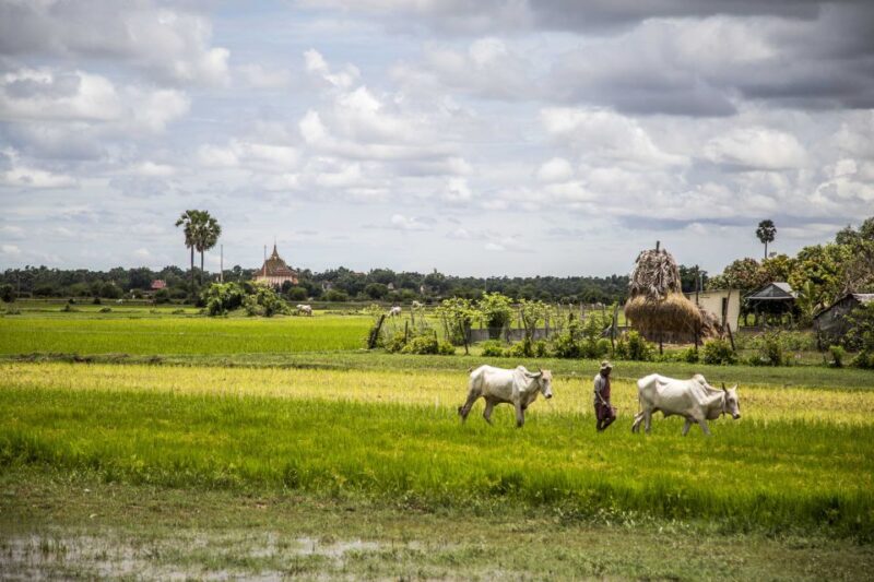 Private Transfer From Phnom Penh - Siem Reap - Good To Know
