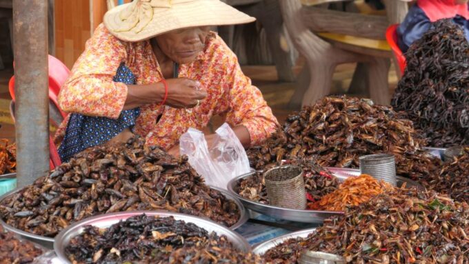 Private Transfer From Phnom Penh - Siem Reap - Unique Stops and Experiences