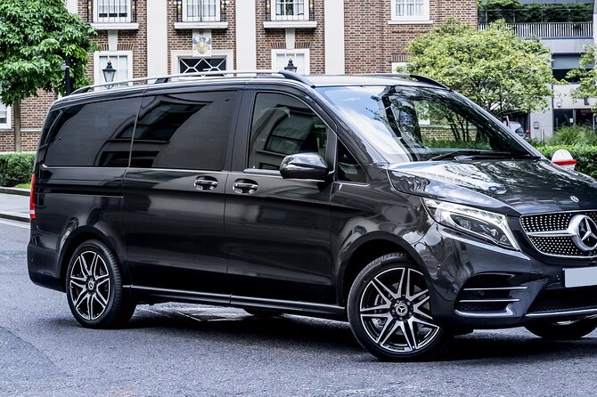 Private Transfer From Phoenix to Sky Harbor Airport PHX in Luxury Van - Vehicle and Driver Details