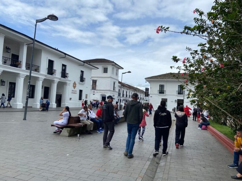 Private Transfer From Popayan to Salento (Or Viceversa) - Flexibility and Personalization