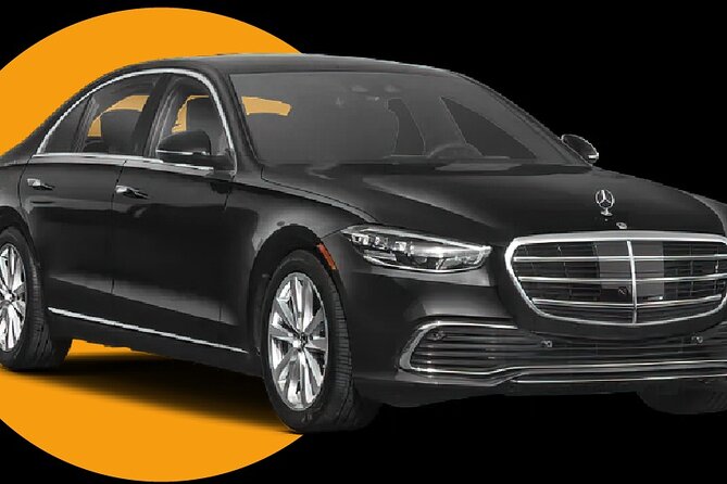 Private Transfer From Port of Miami to Miami and Fort Lauderdale - Accessibility and Participation