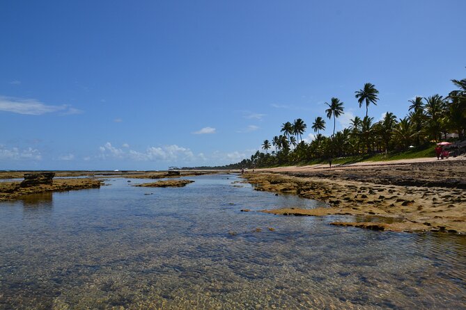 Private Transfer From Porto De Galinhas to Recife Airport - Vehicle and Fleet