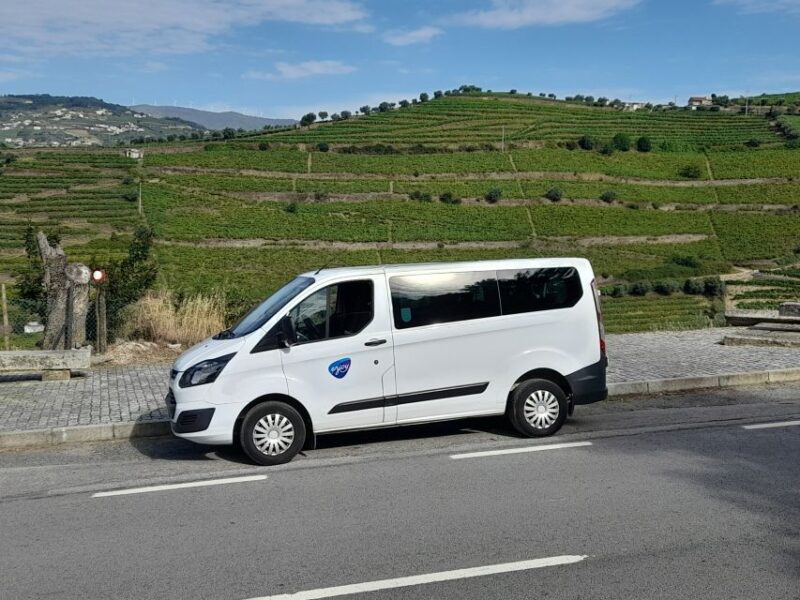 Private Transfer From Porto or Douro Valley To Algarve - Vehicle Information