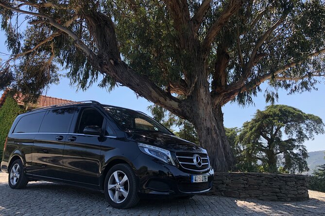 Private Transfer From Porto to Lisbon With Two Sightseeing Stops - Sightseeing Options