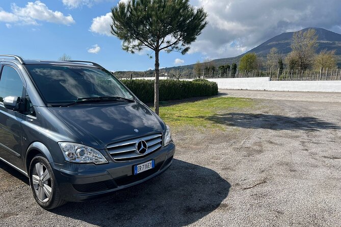 Private Transfer From Positano to Naples Airport - Booking and Cancellation Policy