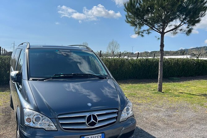 Private Transfer From Positano to Naples Airport - Additional Information