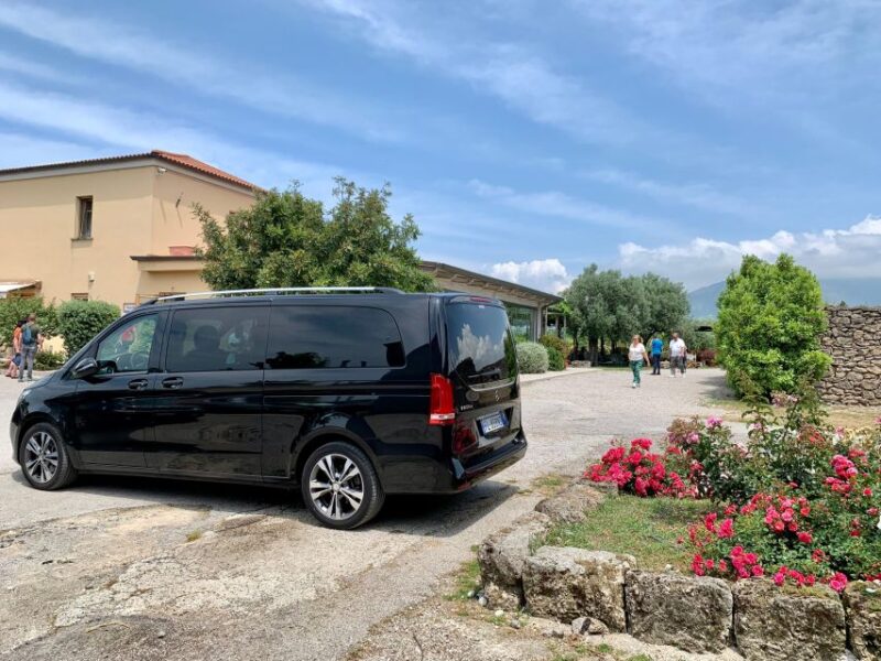 Private Transfer From Positano to Salerno - Luggage Capacity