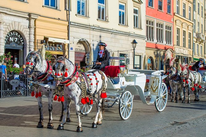 Private Transfer From Prague to Krakow: Door-To-Door, English-Speaking Driver - Bilingual Driver Expertise