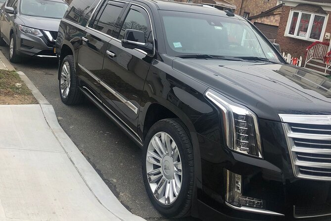 Private Transfer From PSP to SANTA ANA - Accessibility and Services